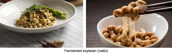 fermented soybean
